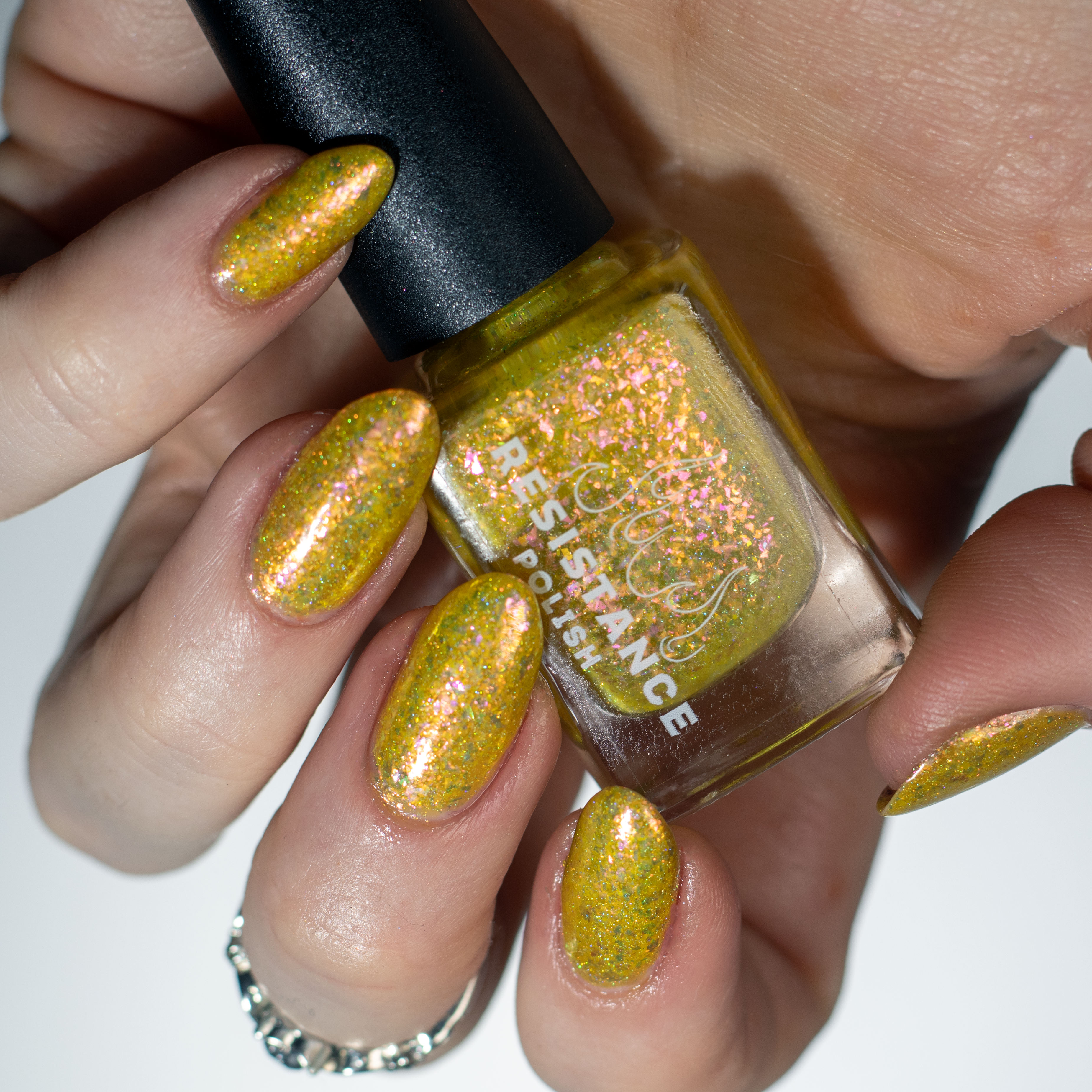 Springtime Hopes and Summertime Dreams