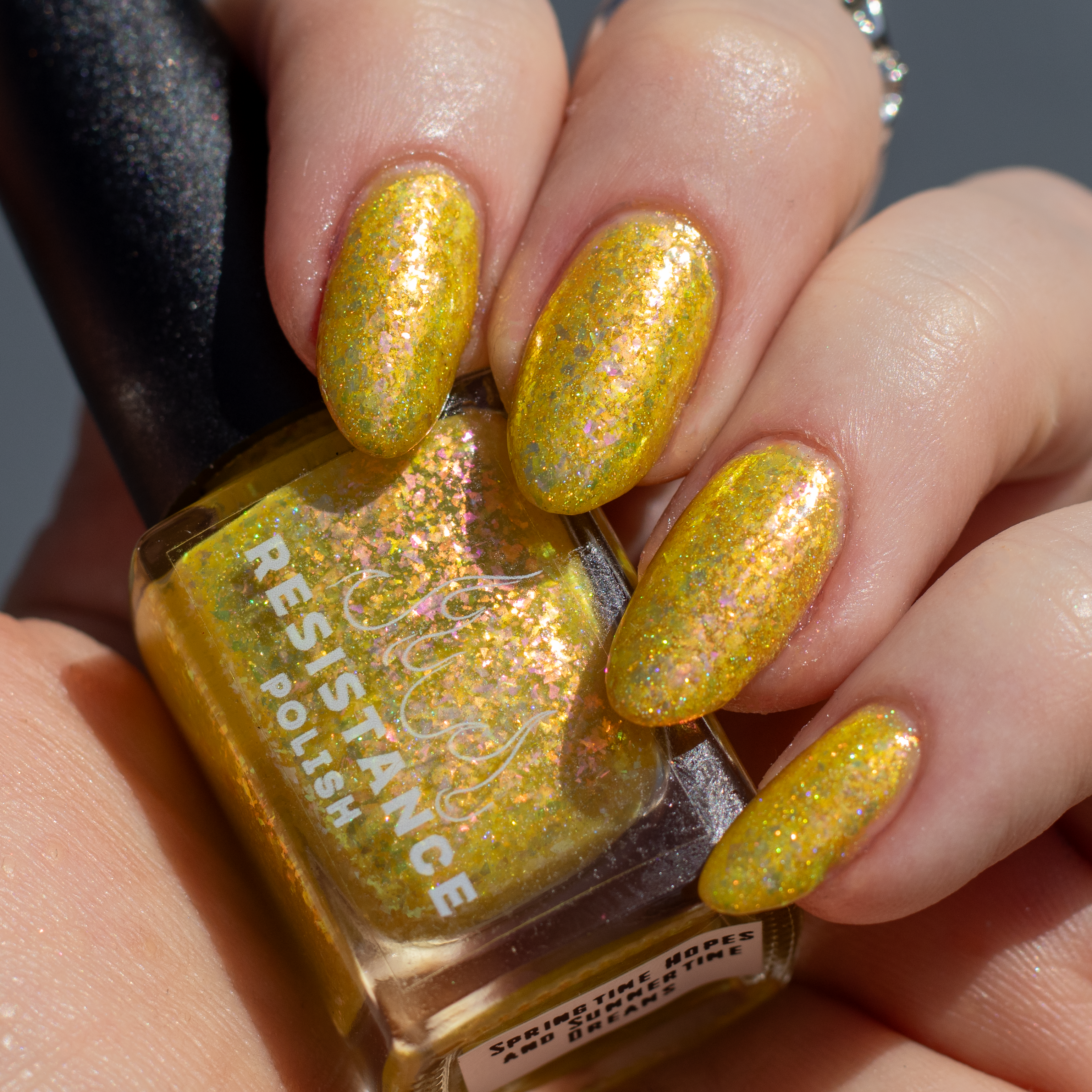 Springtime Hopes and Summertime Dreams