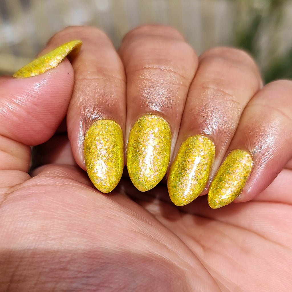 Springtime Hopes and Summertime Dreams