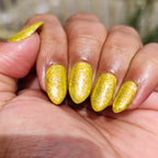 Springtime Hopes and Summertime Dreams