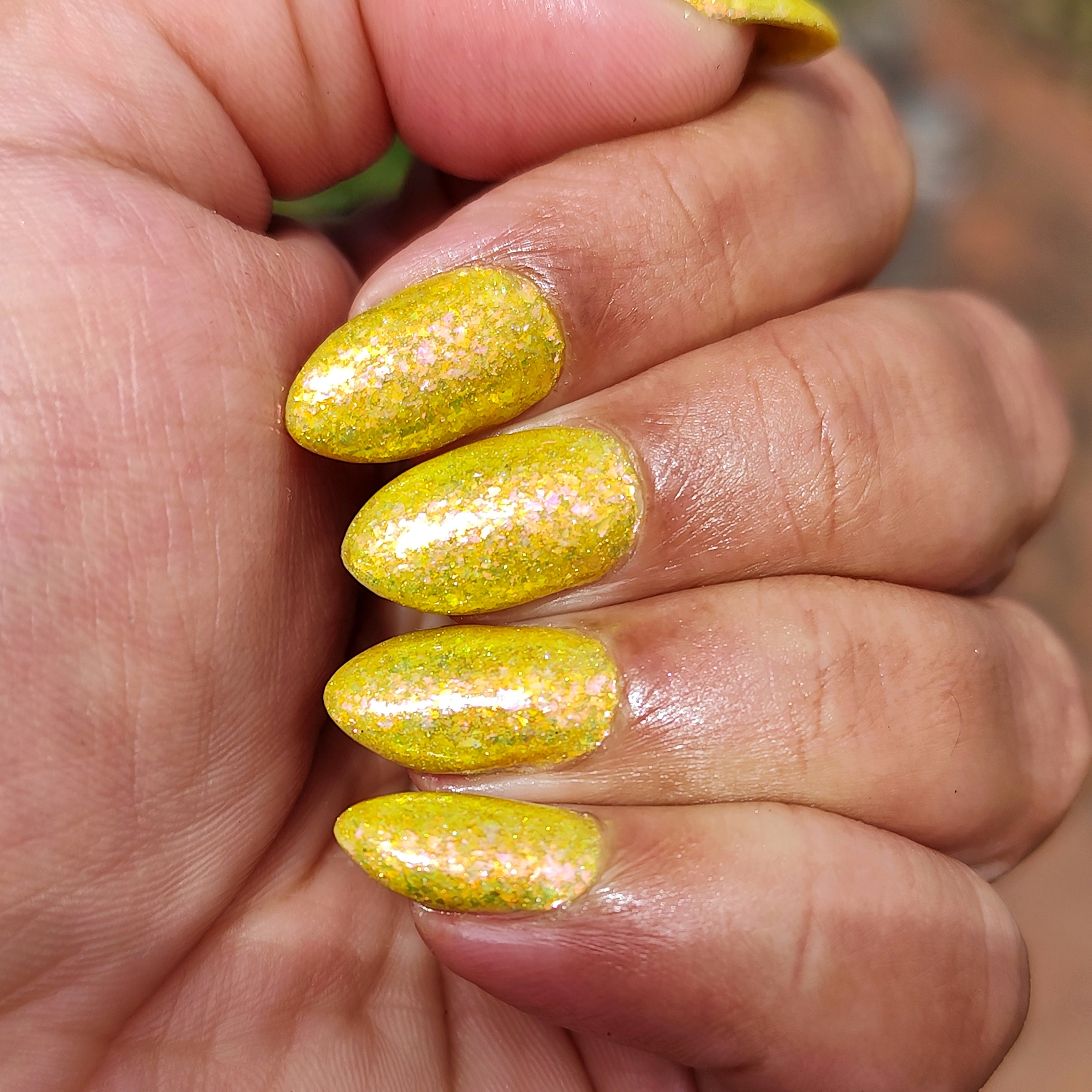 Springtime Hopes and Summertime Dreams