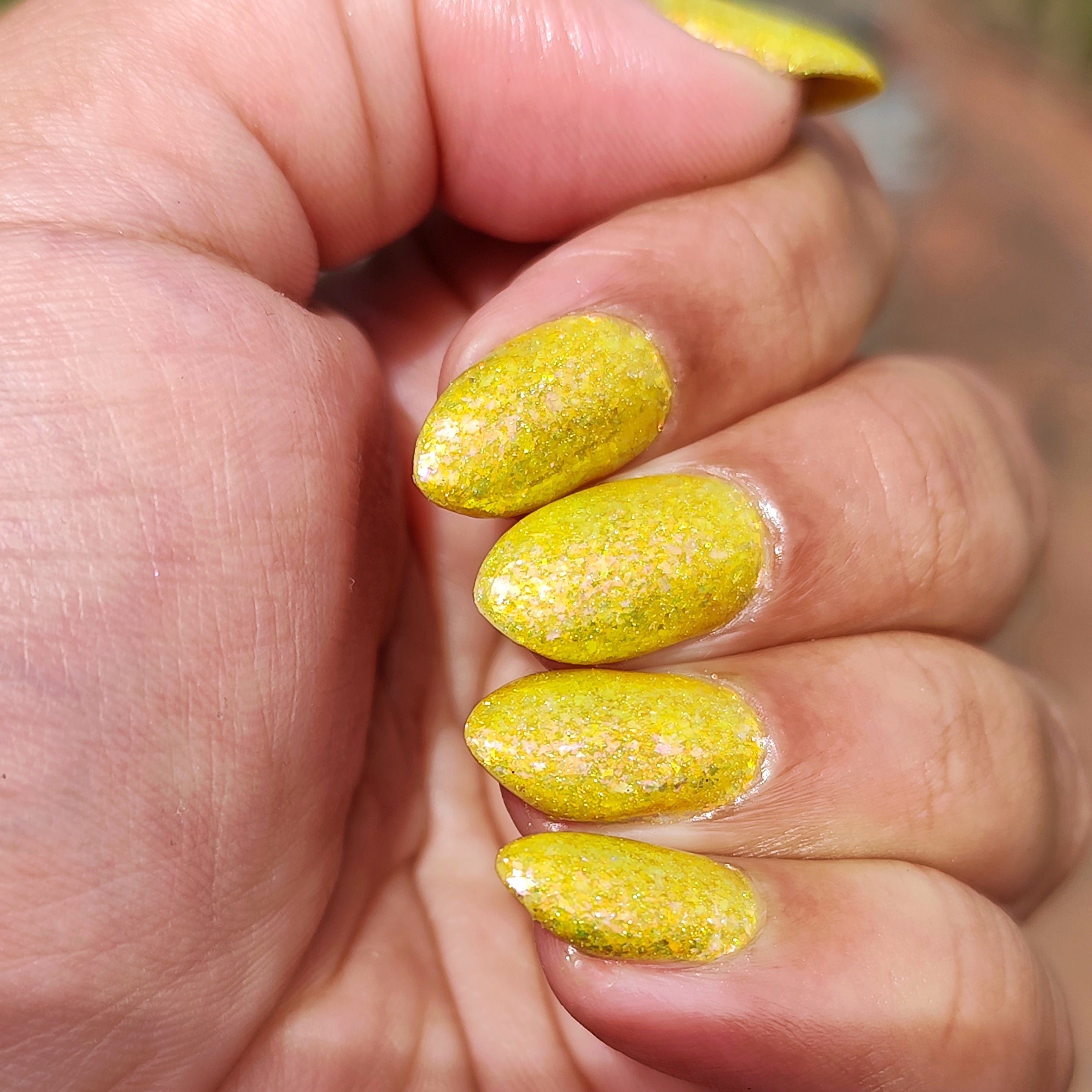 Springtime Hopes and Summertime Dreams