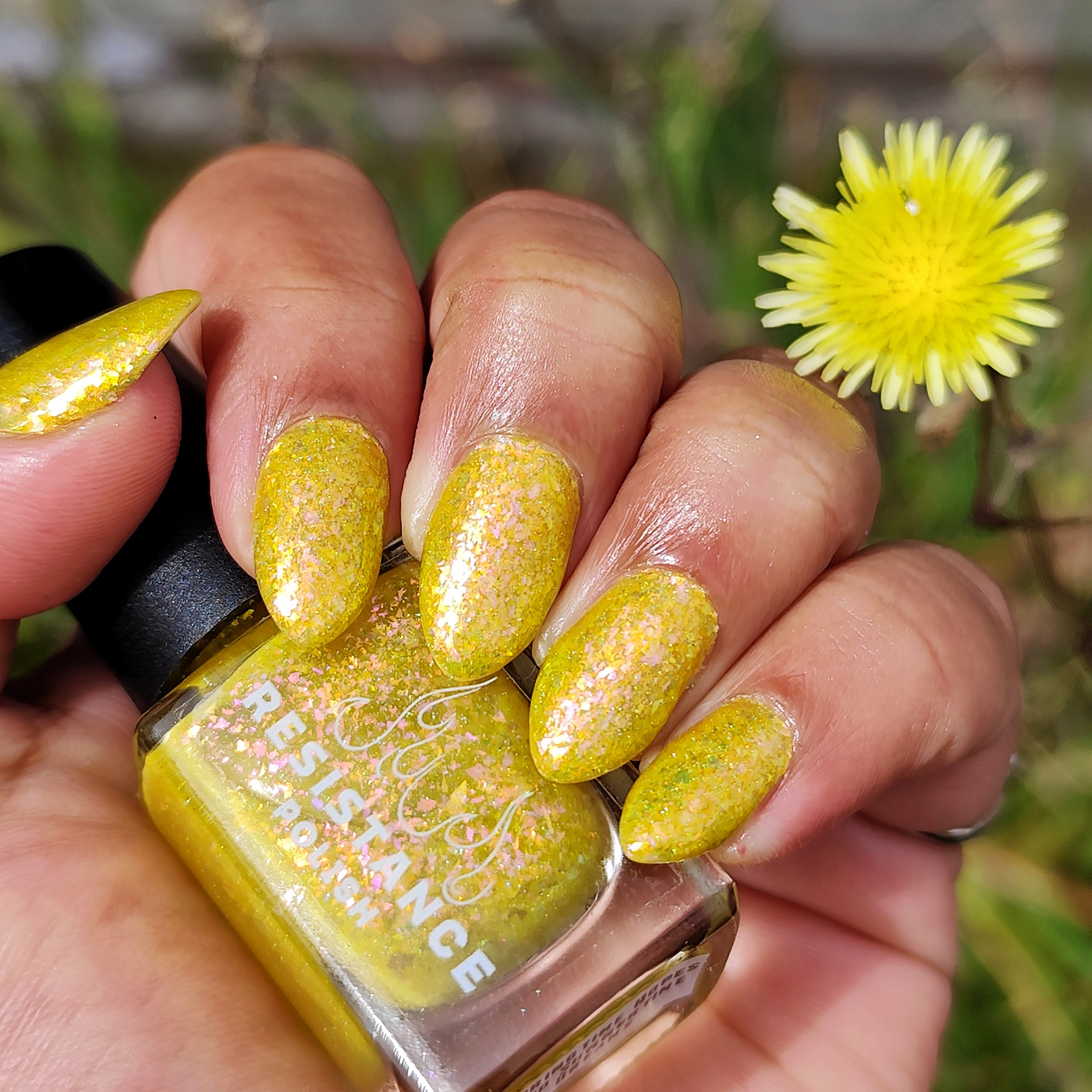 Springtime Hopes and Summertime Dreams