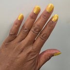 Springtime Hopes and Summertime Dreams