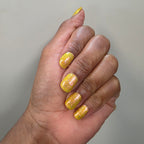 Springtime Hopes and Summertime Dreams