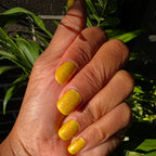 Springtime Hopes and Summertime Dreams