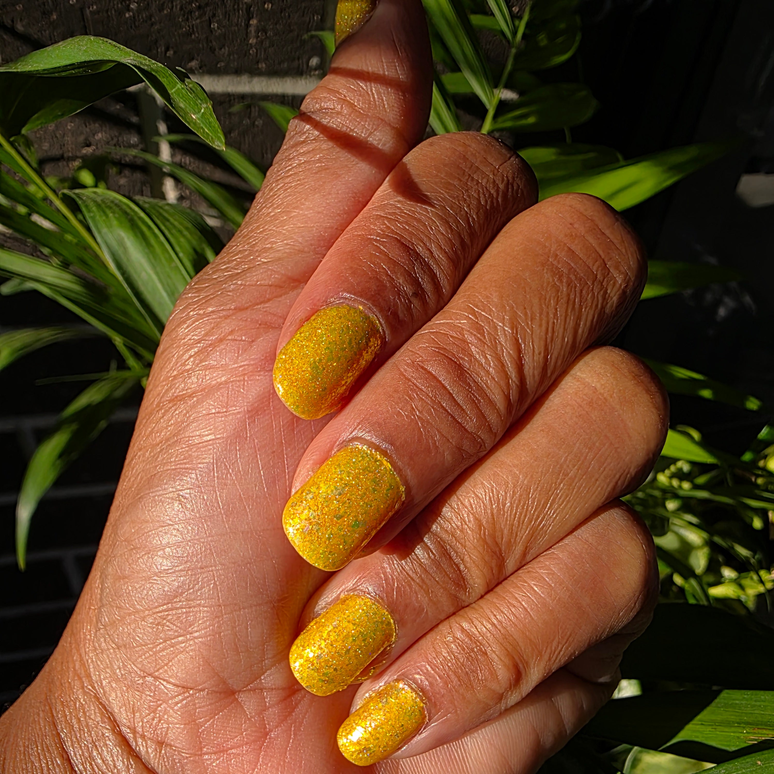 Springtime Hopes and Summertime Dreams