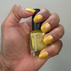 Springtime Hopes and Summertime Dreams