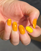 Still Shining - Cosmic Polish