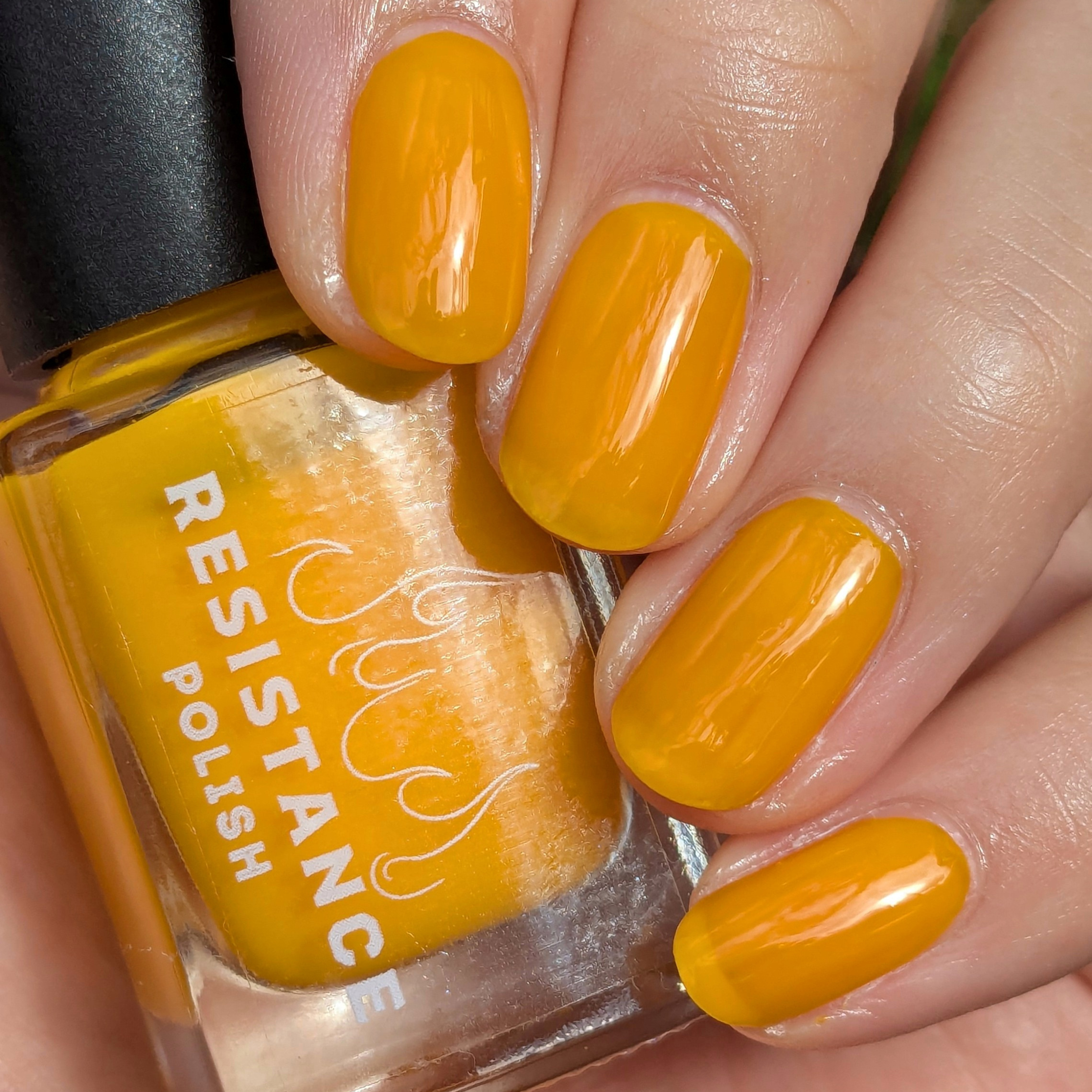 Sunny Side Up