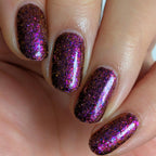 The Wrath of the Righteous