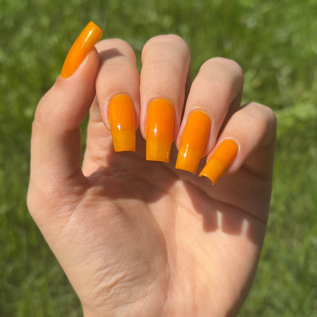 Sunny Side Up