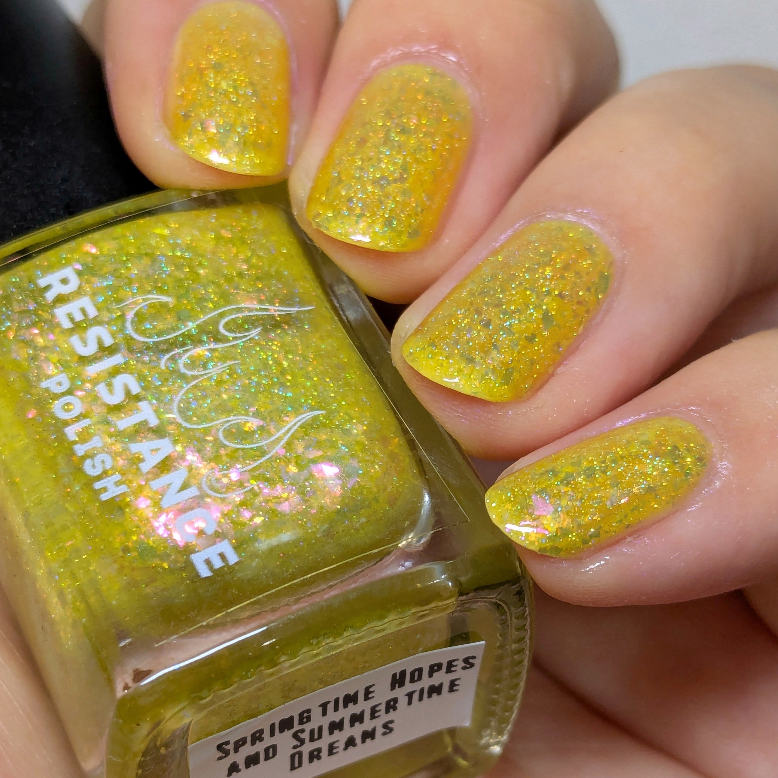 Springtime Hopes and Summertime Dreams