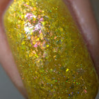 Springtime Hopes and Summertime Dreams