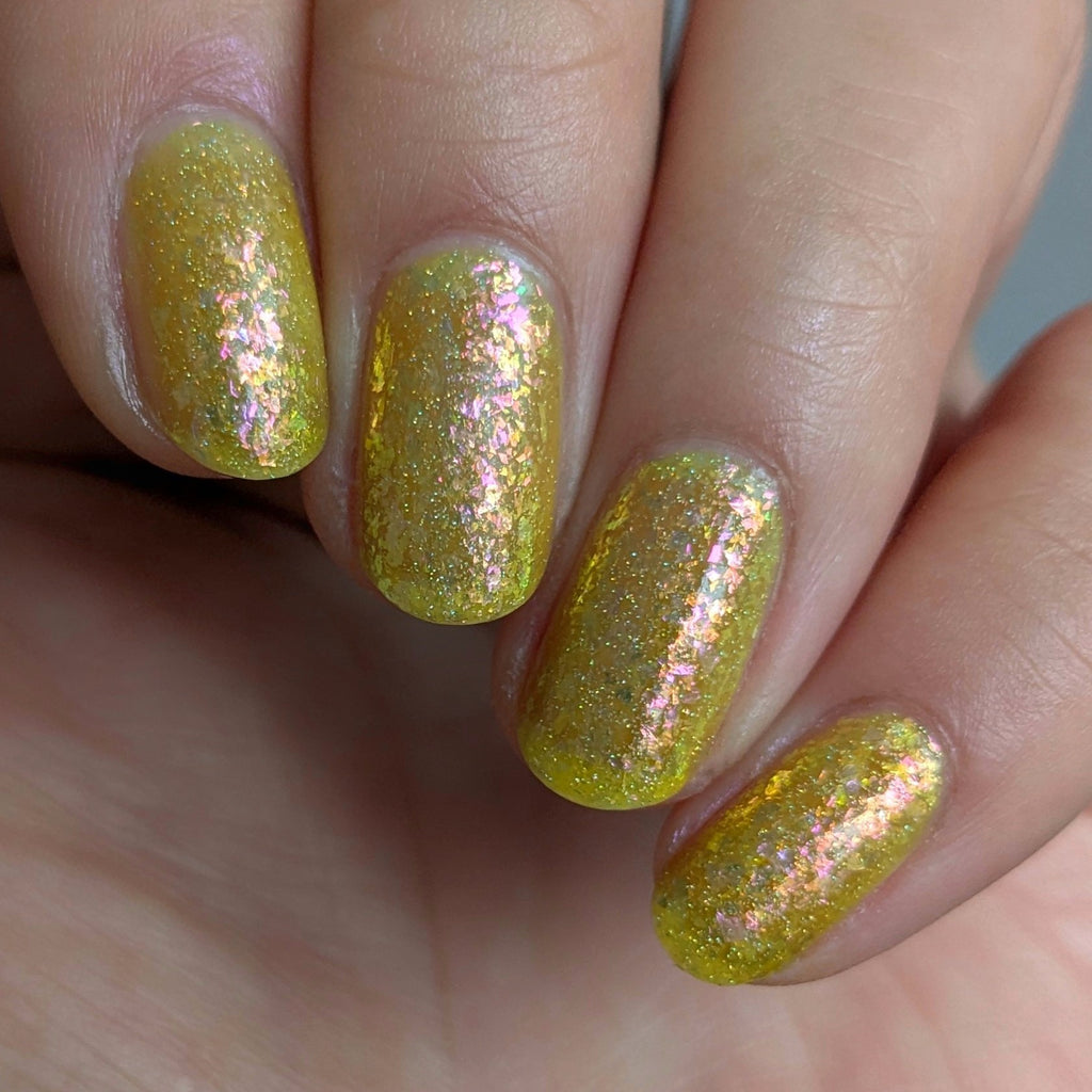 Springtime Hopes and Summertime Dreams