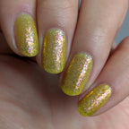 Springtime Hopes and Summertime Dreams