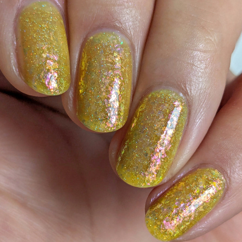 Springtime Hopes and Summertime Dreams