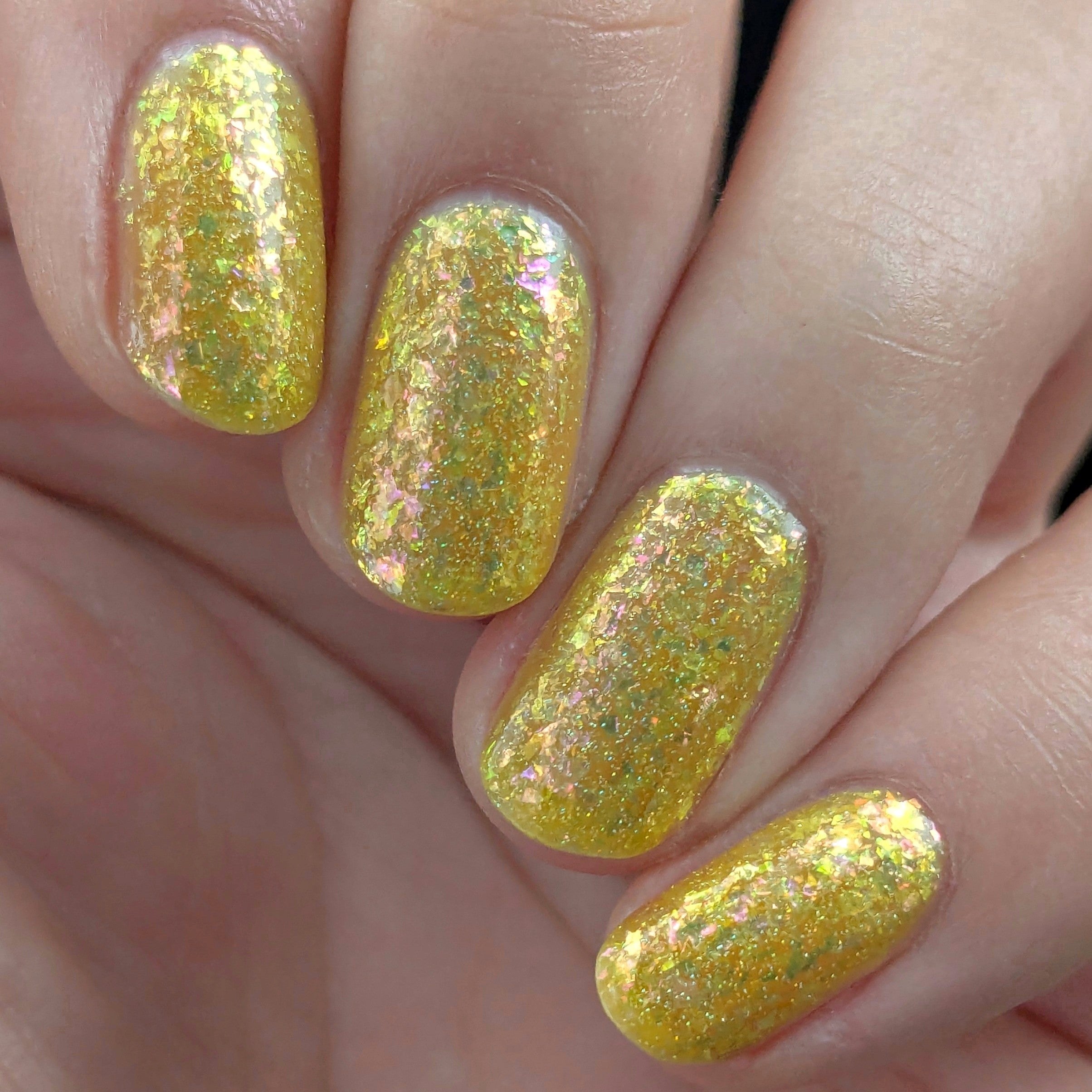 Springtime Hopes and Summertime Dreams