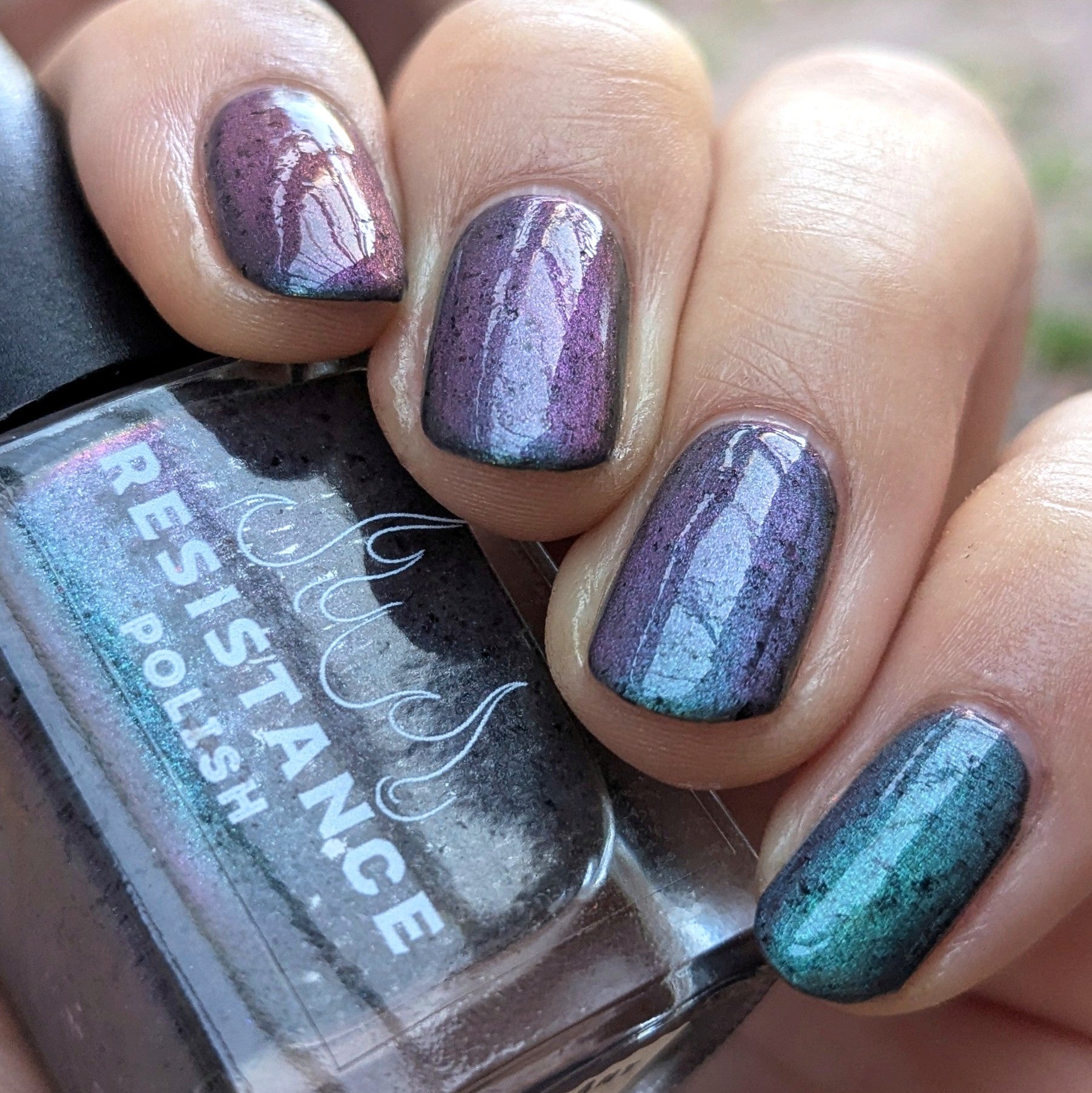 A Pigeon By Any Other Name (Magnetic)