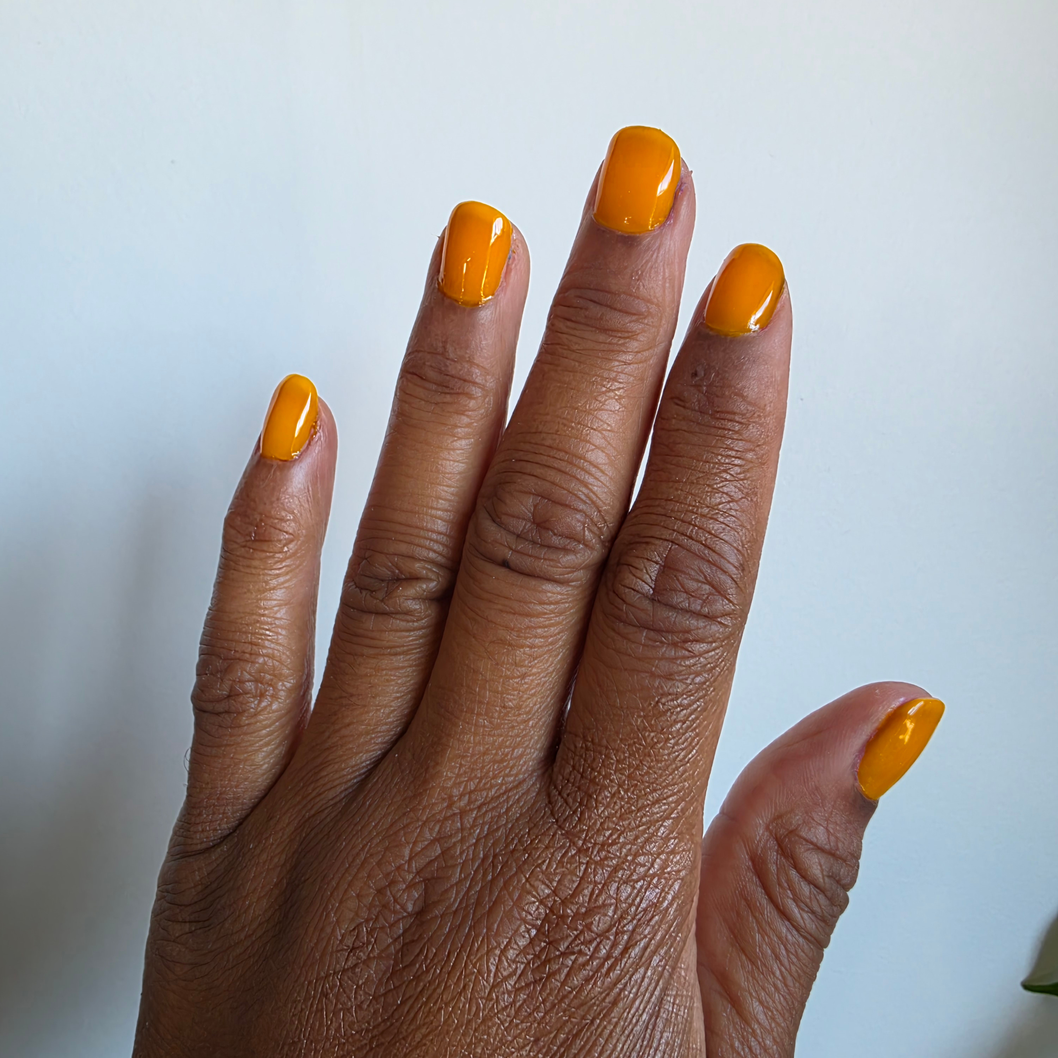 Sunny Side Up