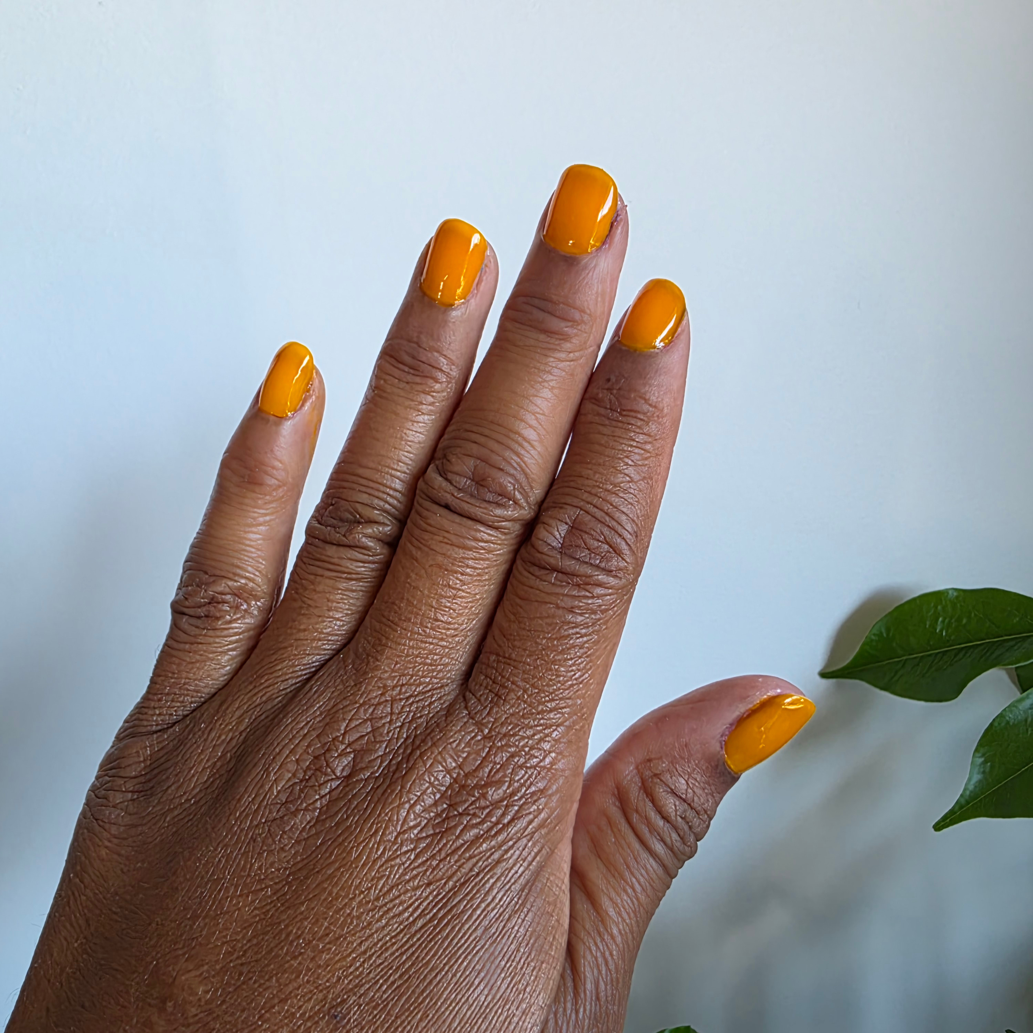 Sunny Side Up