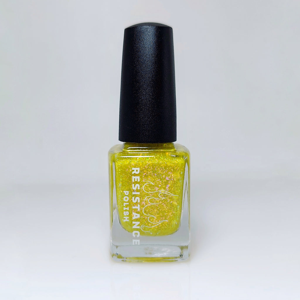 Springtime Hopes and Summertime Dreams