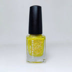 Springtime Hopes and Summertime Dreams