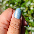 From the Sea to the River